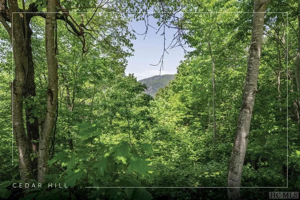 Lot 1 Parsons View Cashiers NC 28717