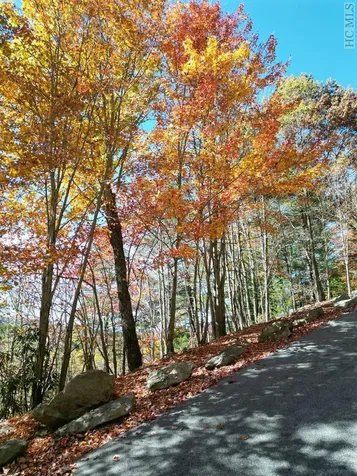 Lot 1 Parsons View Cashiers NC 28717