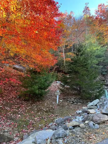 Lot 1 Parsons View Cashiers NC 28717