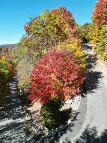 Lot 1 Parsons View Cashiers NC 28717