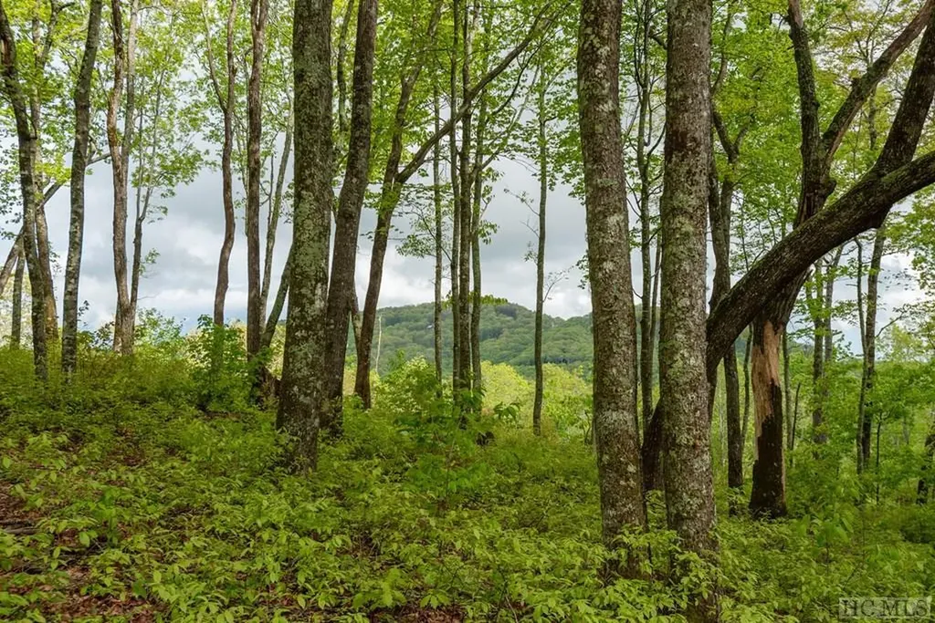 Lot C38 Roaming Road Glenville NC 28736