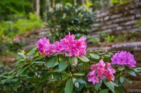 16 Fountainhead Drive Cashiers NC 28717