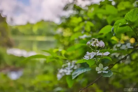 16 Fountainhead Drive Cashiers NC 28717