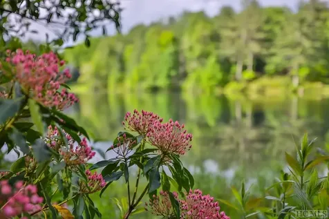 16 Fountainhead Drive Cashiers NC 28717