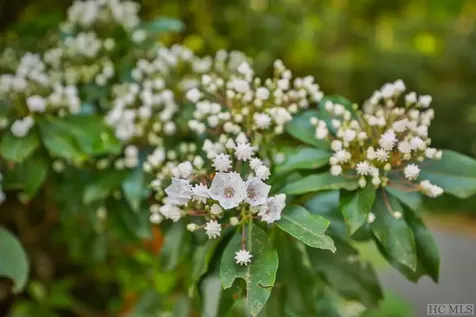 16 Fountainhead Drive Cashiers NC 28717