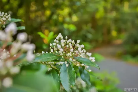 16 Fountainhead Drive Cashiers NC 28717