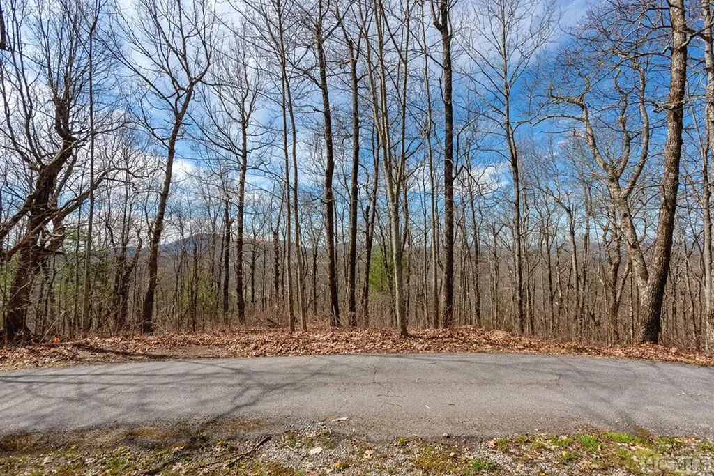 Lot 15 Eastside Duck Mountain Road Scaly Mountain NC 28775
