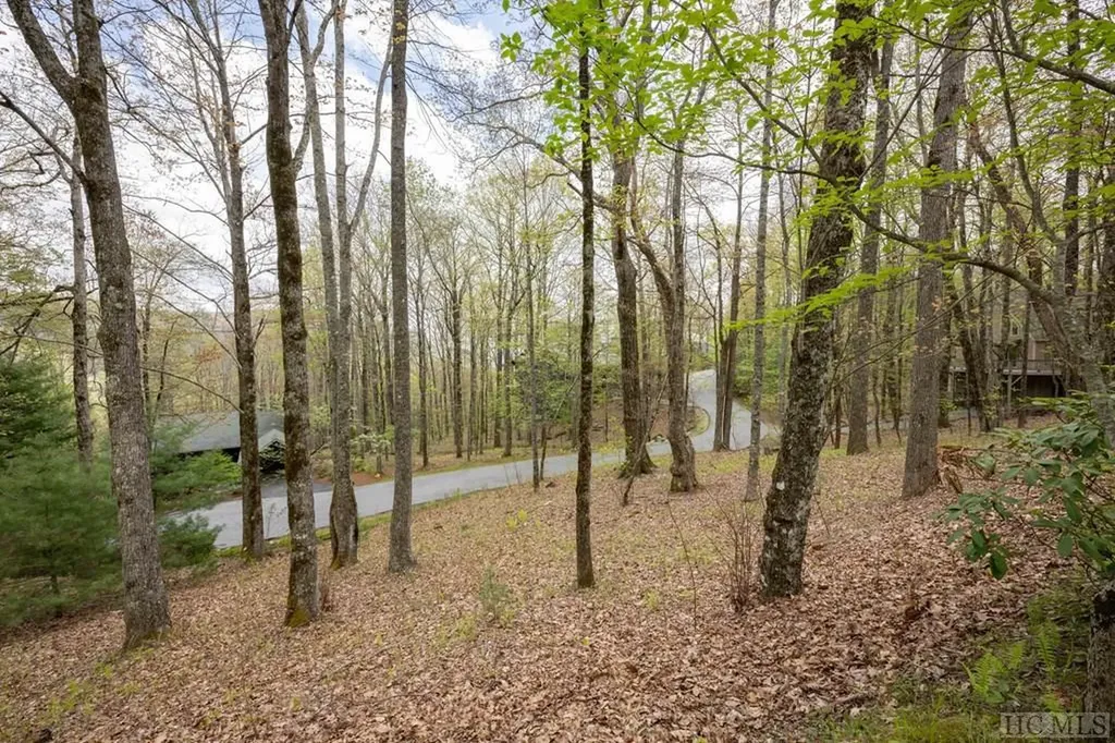 Lot 110 Golden Eagle Court Sapphire NC 28774