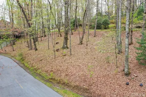 Lot 110 Golden Eagle Court Sapphire NC 28774