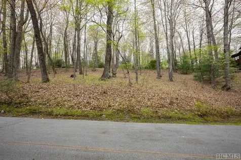 Lot 110 Golden Eagle Court Sapphire NC 28774