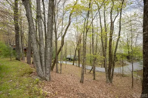 Lot 110 Golden Eagle Court Sapphire NC 28774