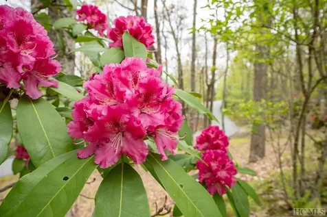Lot 110 Golden Eagle Court Sapphire NC 28774