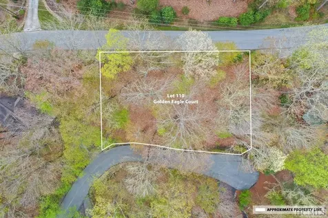 Lot 110 Golden Eagle Court Sapphire NC 28774