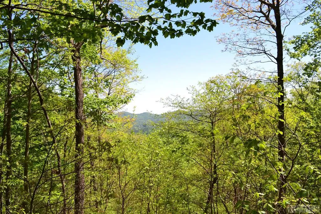 Lot 35 Hidden Grouse Lane Sapphire NC 28774