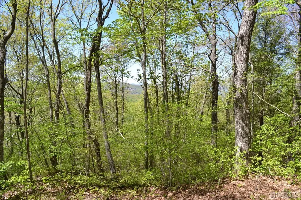 Lot 35 Hidden Grouse Lane Sapphire NC 28774