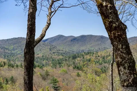 448 Tontogany Trail Sapphire NC 28774