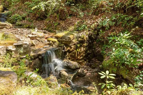 448 Tontogany Trail Sapphire NC 28774