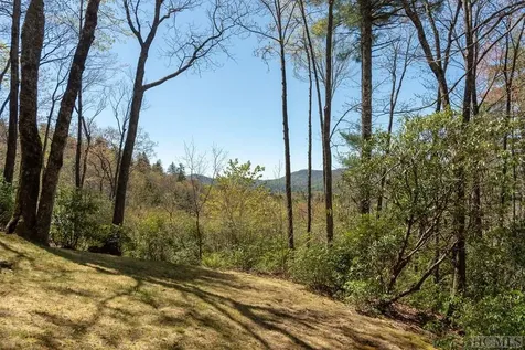 448 Tontogany Trail Sapphire NC 28774