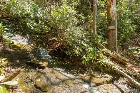 448 Tontogany Trail Sapphire NC 28774