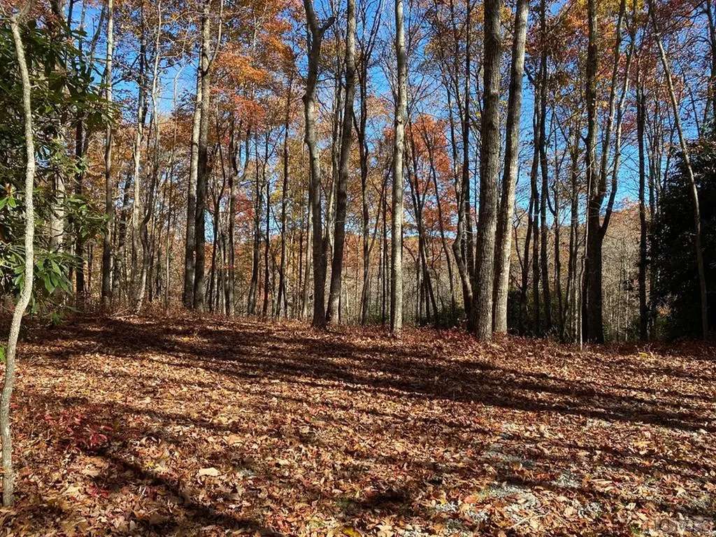 Lot 45 Roaming Road Glenville NC 28736