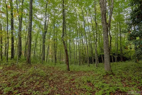 Lot 45 Roaming Road Glenville NC 28736