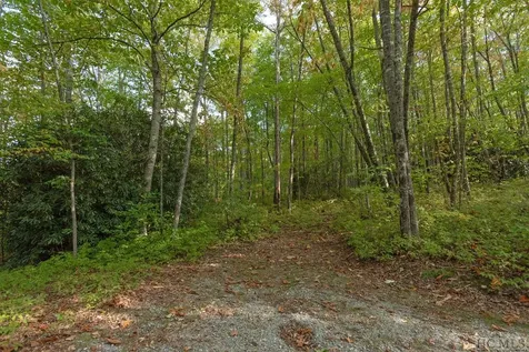 Lot 45 Roaming Road Glenville NC 28736
