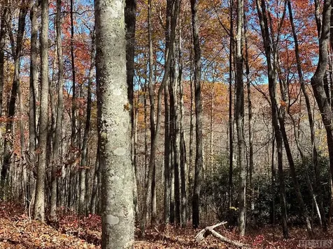 Lot 45 Roaming Road Glenville NC 28736