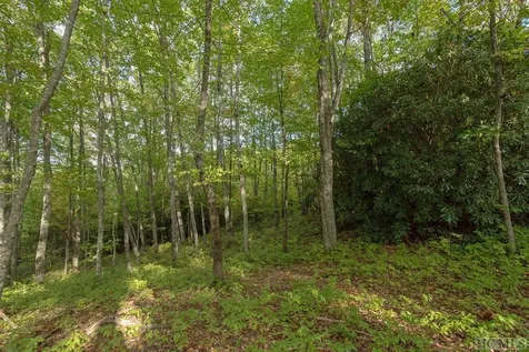 Lot 45 Roaming Road Glenville NC 28736