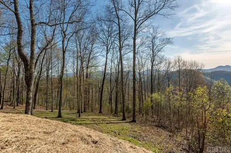 827 North Ridge Road Glenville NC 28736