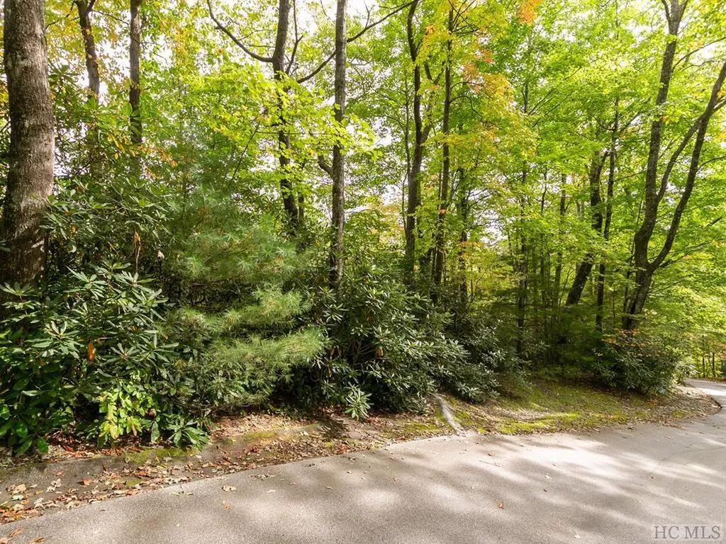 000 Trillium Court Sapphire NC 28774