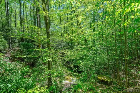 360 Upward Trail Cashiers NC 28717