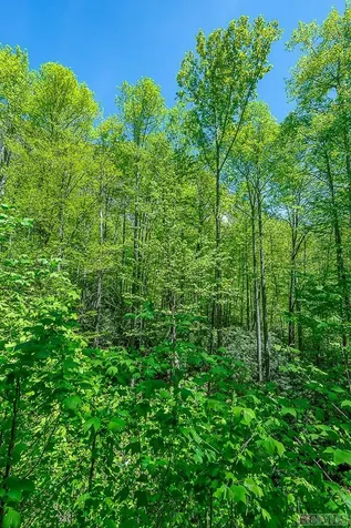 360 Upward Trail Cashiers NC 28717