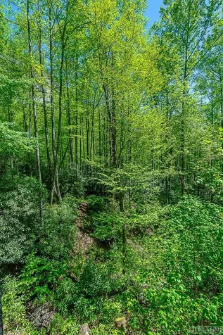360 Upward Trail Cashiers NC 28717