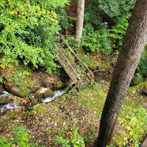 360 Upward Trail Cashiers NC 28717