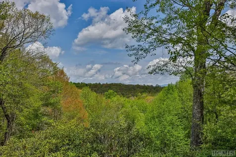 1033 Flat Creek Drive Glenville NC 28736