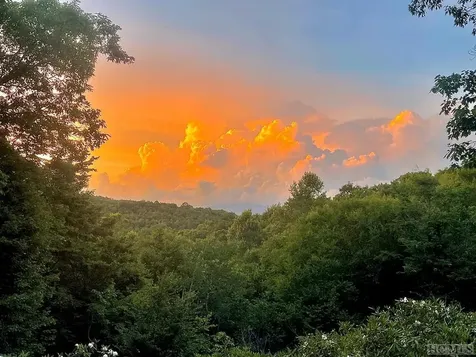 1033 Flat Creek Drive Glenville NC 28736