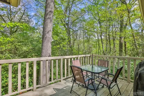 43 Kiwi Lane Sapphire NC 28774