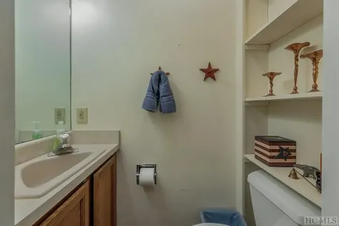 43 Kiwi Lane Sapphire NC 28774