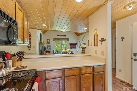 43 Kiwi Lane Sapphire NC 28774