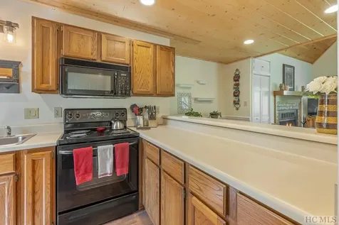 43 Kiwi Lane Sapphire NC 28774