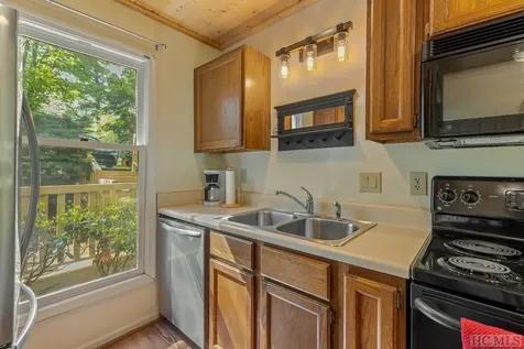 43 Kiwi Lane Sapphire NC 28774