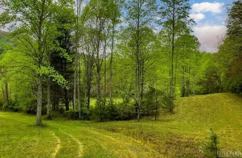 Tbd Flat Creek Drive Lake Toxaway NC 28747