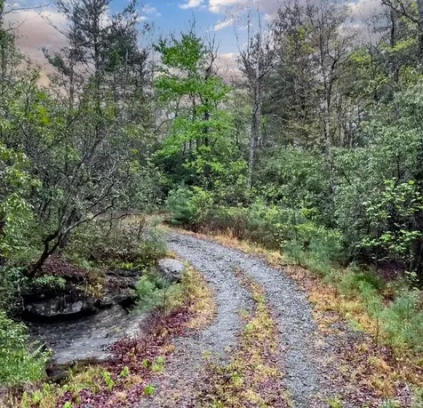 Tbd Flat Creek Drive Lake Toxaway NC 28747