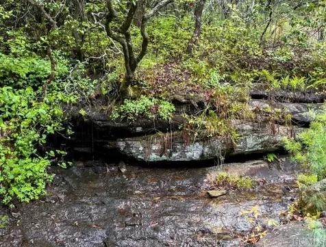 Tbd Flat Creek Drive Lake Toxaway NC 28747