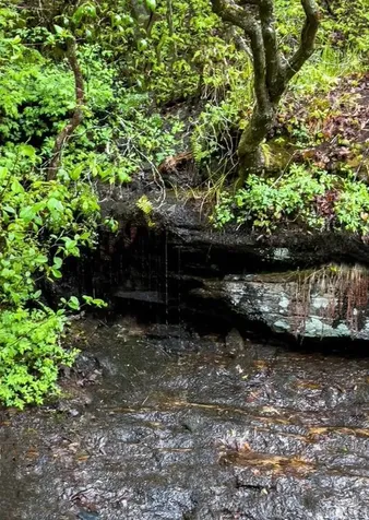 Tbd Flat Creek Drive Lake Toxaway NC 28747