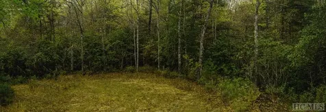 Tbd Flat Creek Drive Lake Toxaway NC 28747