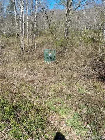 Tbd Flat Creek Drive Lake Toxaway NC 28747