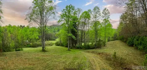 Tbd Flat Creek Drive Lake Toxaway NC 28747