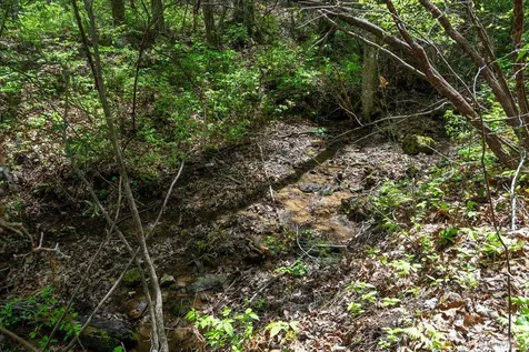 277 Deer Run Road Sapphire NC 28774