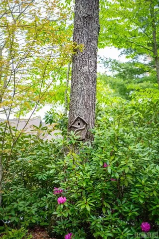 277 Deer Run Road Sapphire NC 28774